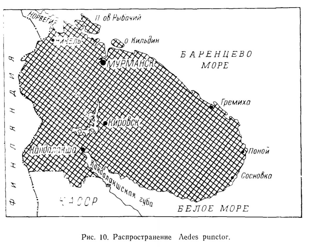 Рис. 10. Распространение Aedes punctor Рис. 10. Распространение Aedes punctor