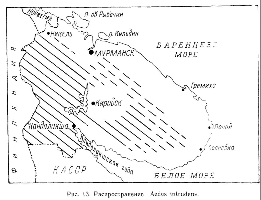 Рис. 13 Распространение Aedes (О.) pullatus Рис. 13 Распространение Aedes (О.) pullatus