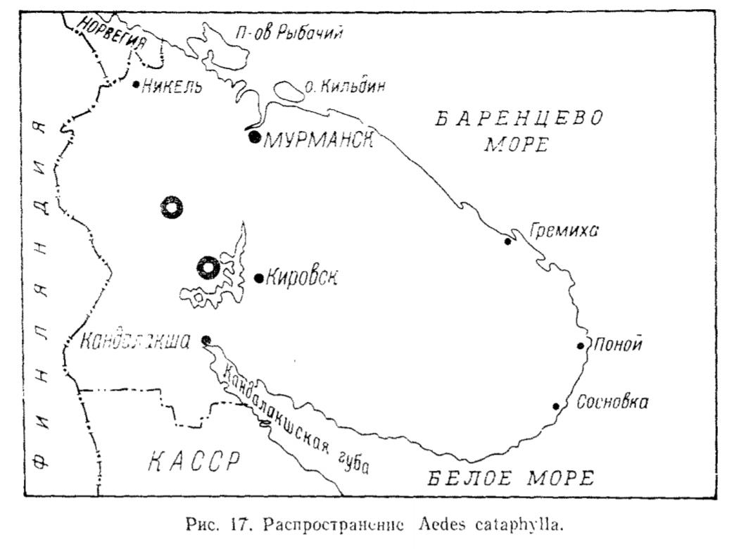 Рис. 17 Распространение Aedes cataphylla. Рис. 17 Распространение Aedes cataphylla.