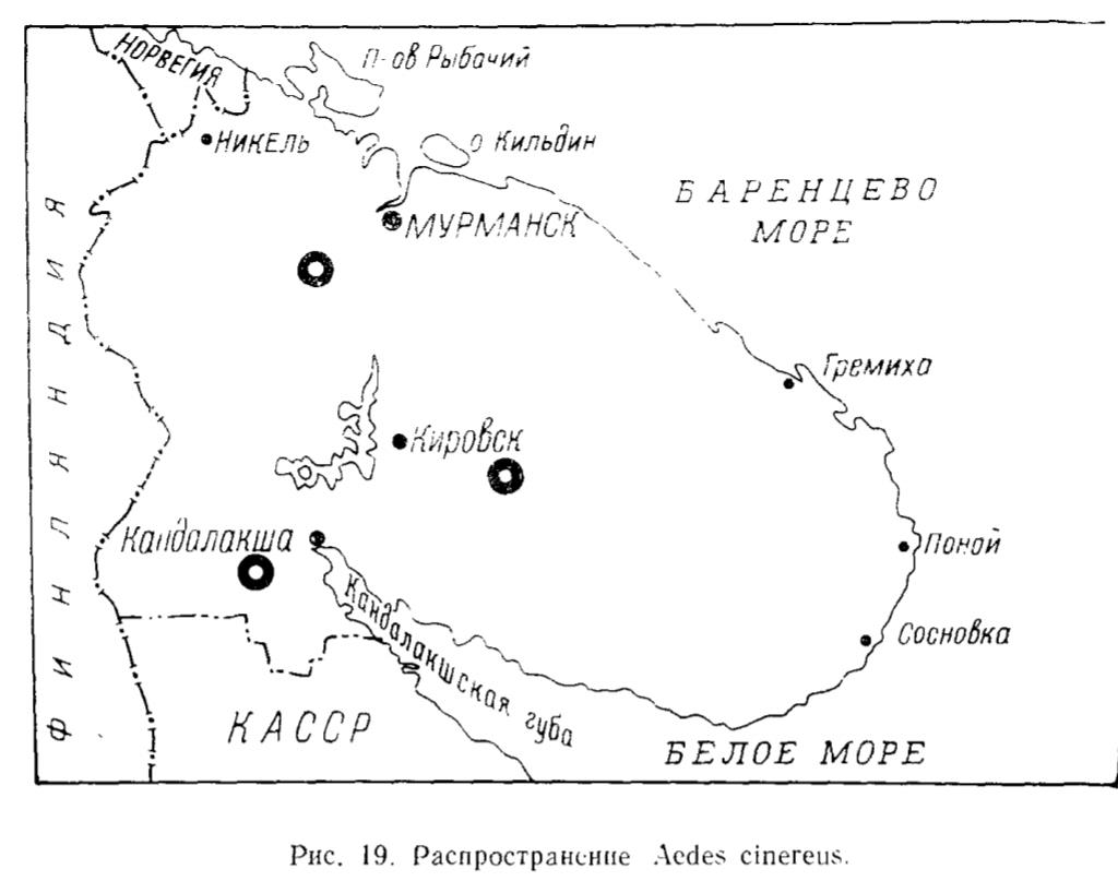 Рис. 19. Распространение Aedes cinereus Рис. 19. Распространение Aedes cinereus