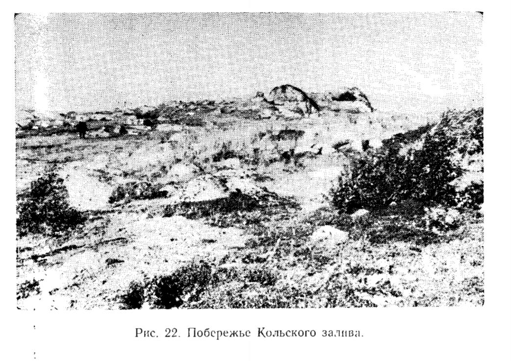 Рис. 22 Побережье Кольского залива Рис. 22 Побережье Кольского залива