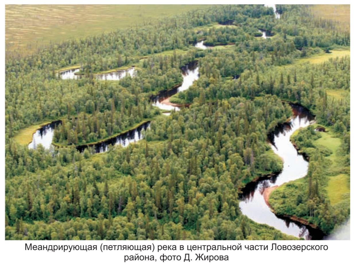 Меандрирующая (петляющая) рекав центральной части ловозерского района, фото Д.Жирова. Меандрирующая (петляющая) рекав центральной части ловозерского района, фото Д.Жирова.