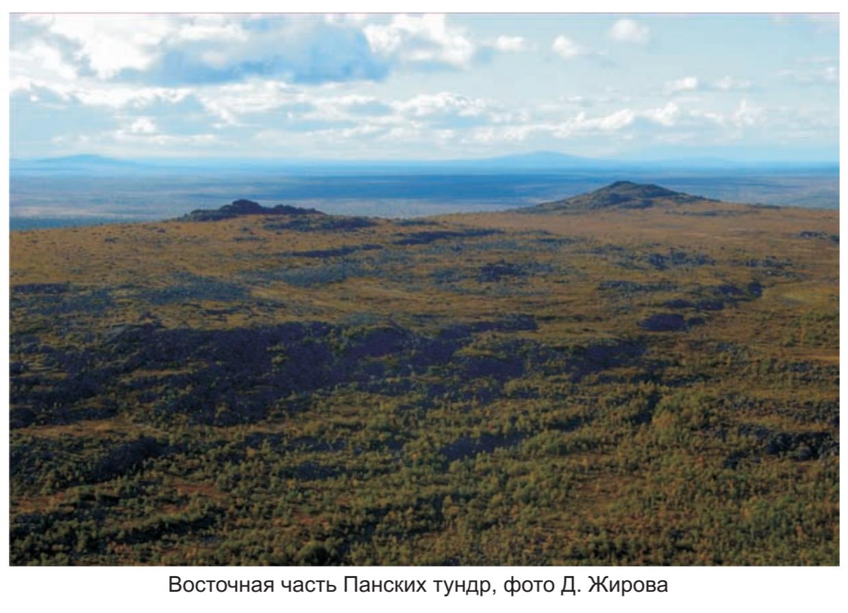 Гора Федорова на фоне ловзерских тундр , фото Д.Жирова. Гора Федорова на фоне ловзерских тундр , фото Д.Жирова.