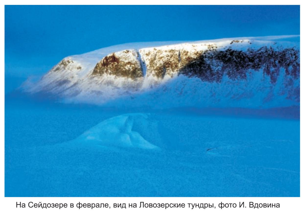 Скалы и галечник баренцевоморского побережья , фото А.Ивлева. Скалы и галечник баренцевоморского побережья , фото А.Ивлева.