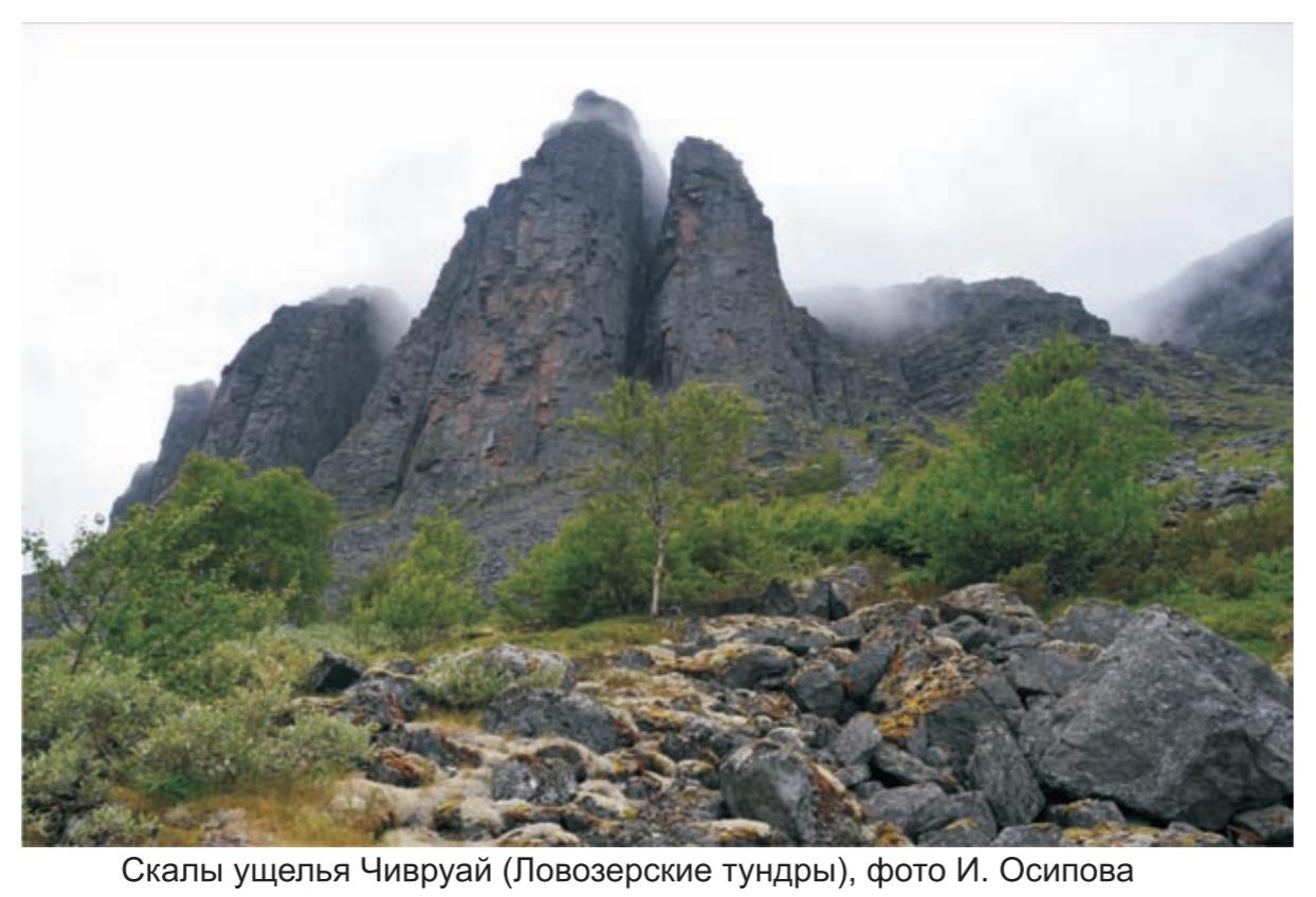 Заболоченная равнина , зона Имандра-Варзуга, фото Д.Жирова. Заболоченная равнина , зона Имандра-Варзуга, фото Д.Жирова.