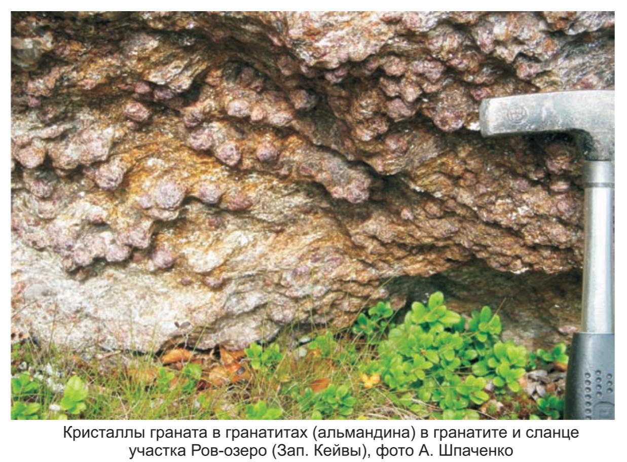 Кристалы граната в гарнатитах ( альмандина) в граните и сланце участка Ров-озеро, фото А.Шпаченко . Кристалы граната в гарнатитах ( альмандина) в граните и сланце участка Ров-озеро, фото А.Шпаченко.