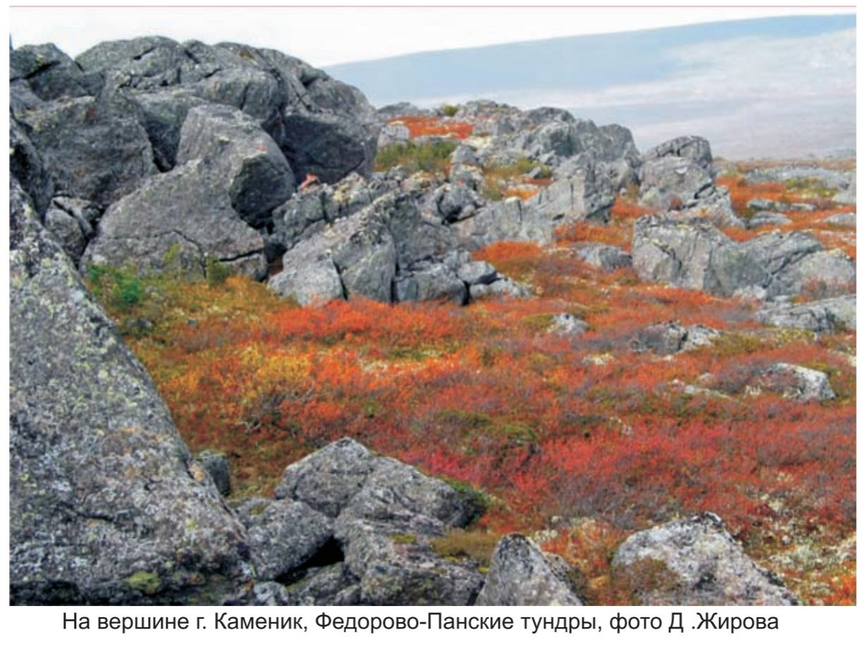 На вершине горы Каменик, Федоро-Панские тундры, фото Д.Жирова. На вершине горы Каменик, Федоро-Панские тундры, фото Д.Жирова.