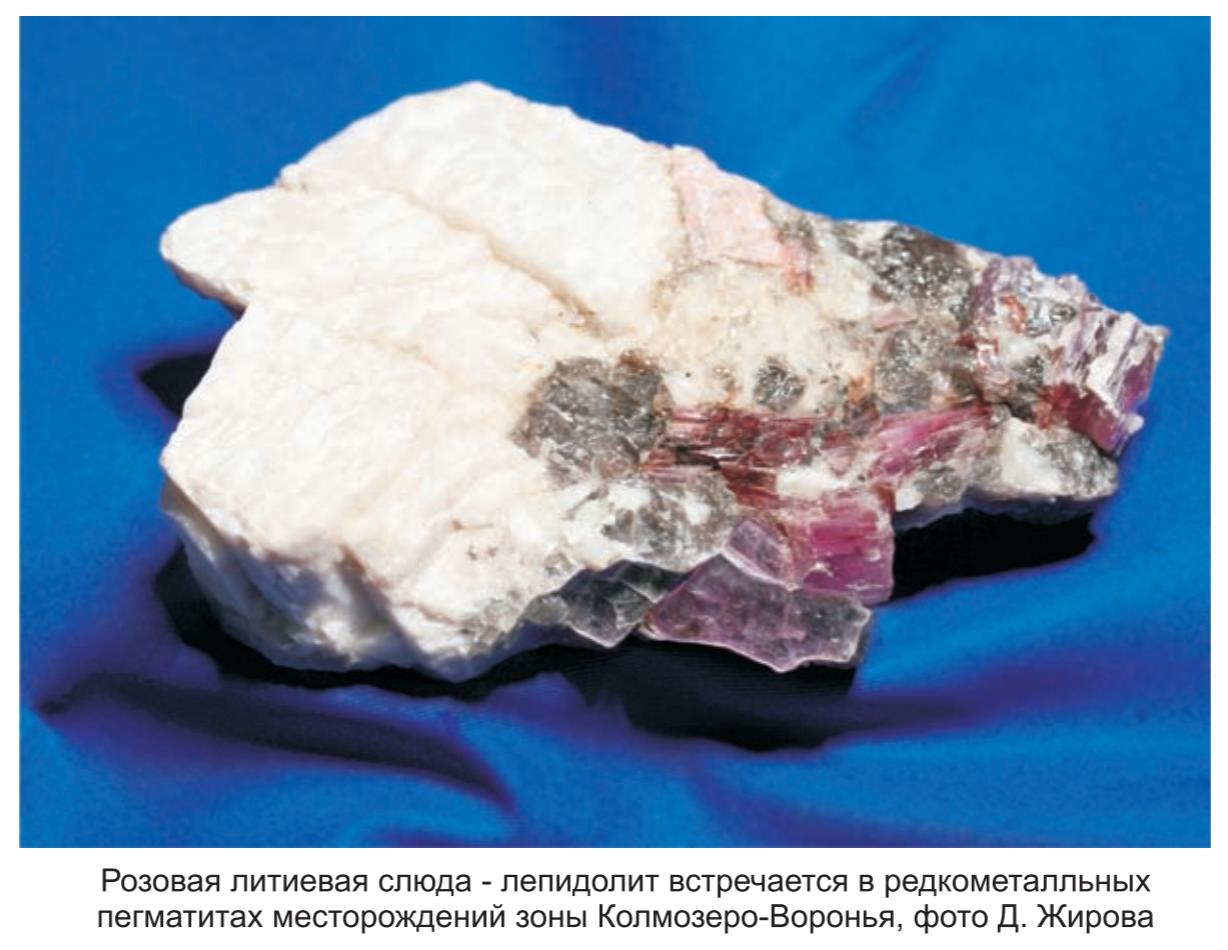 розовая литиевая слюда, фото д.Жирова. розовая литиевая слюда, фото д.Жирова.
