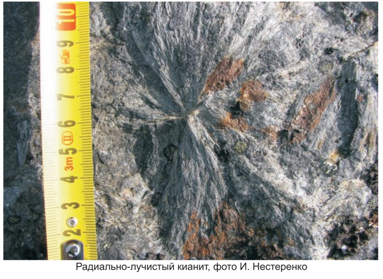 радиально-лучистый кианит , фото И. Нестернко. радиально-лучистый кианит , фото И. Нестернко.