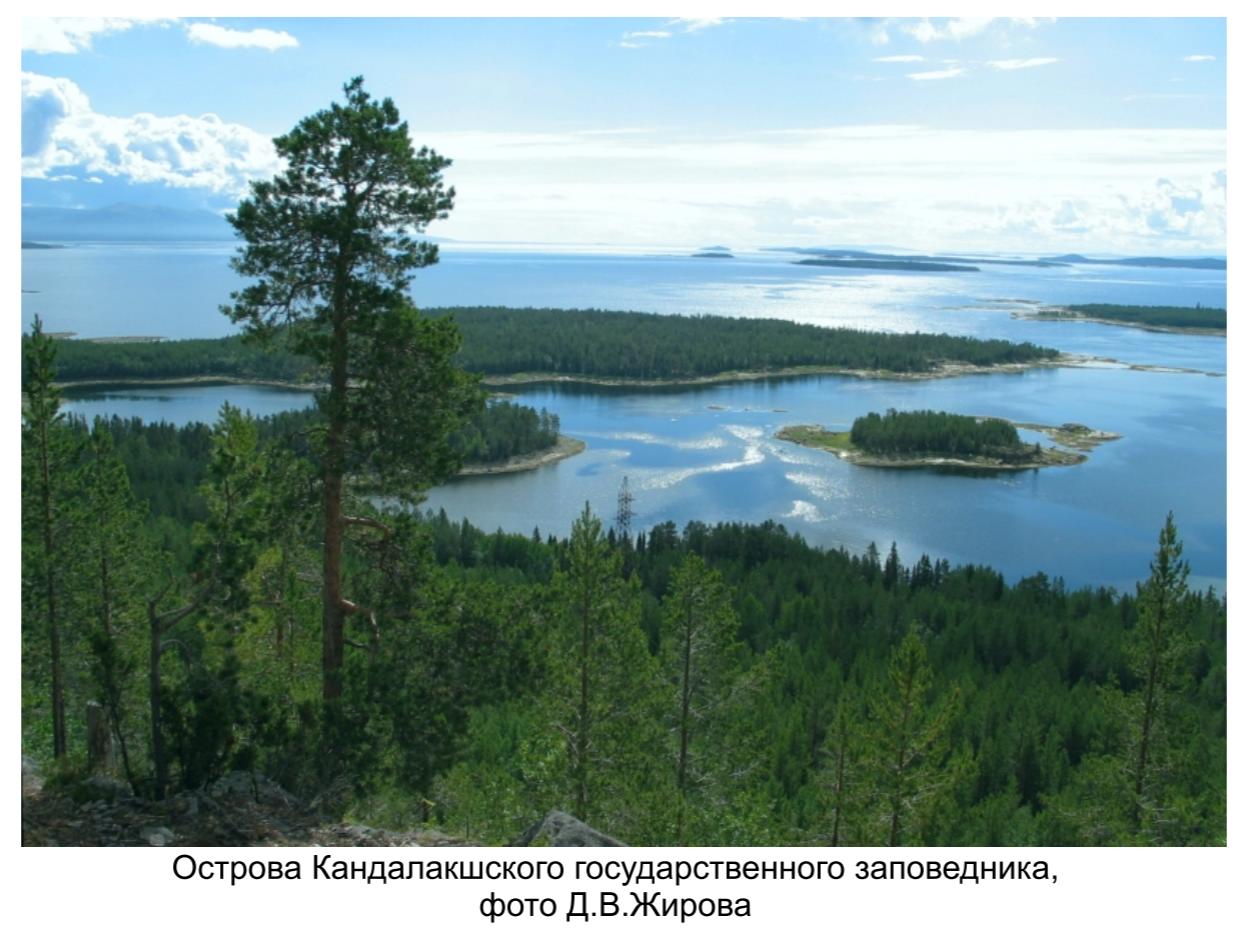 Острова Кандалакшского государсвенного заповедника, фото Д.А.Жирова. Острова Кандалакшского государсвенного заповедника, фото Д.А.Жирова.