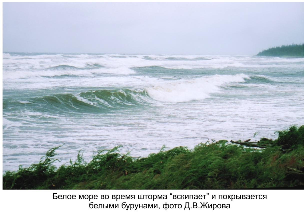 Белое море во время шторма -вскипает- и покрывается белыми бурунами, фото Д.А.Жирова. Белое море во время шторма -вскипает- и покрывается белыми бурунами, фото Д.А.Жирова.
