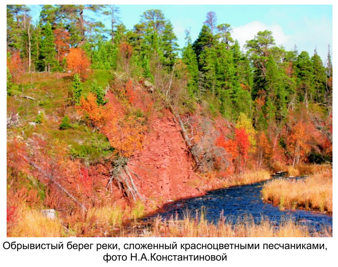 Обрывистый берег реки, сложенный красноцветными песчанками , фото Н.А. Константиновой. Обрывистый берег реки, сложенный красноцветными песчанками , фото Н.А. Константиновой.