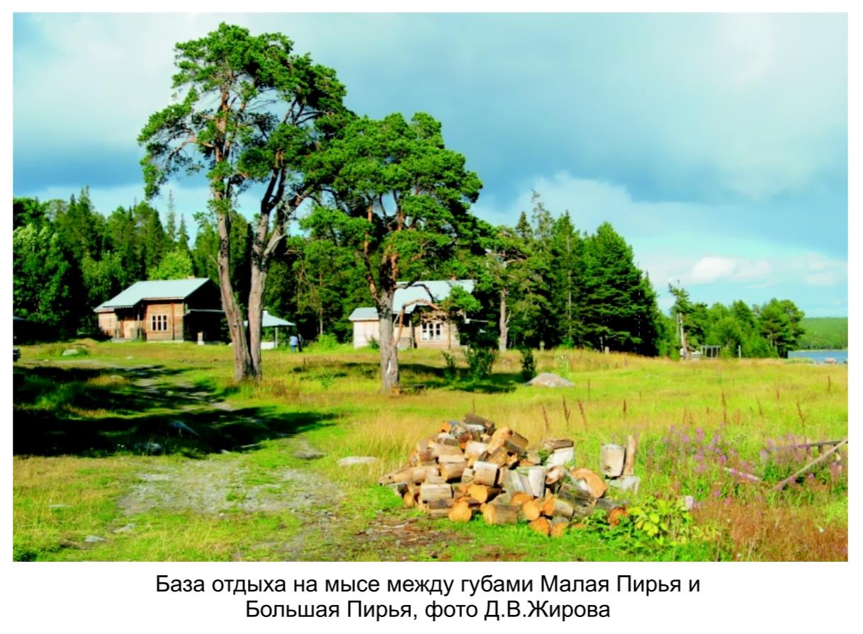 База отдыха на мысе  между губами Малая  Пирья и Большая Пирья , фото Д.А.Жирова.
