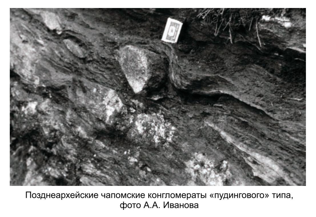 Позднеархейские чапомские  конгломераты -пудингового- типа , фото  А.А. Иванова.