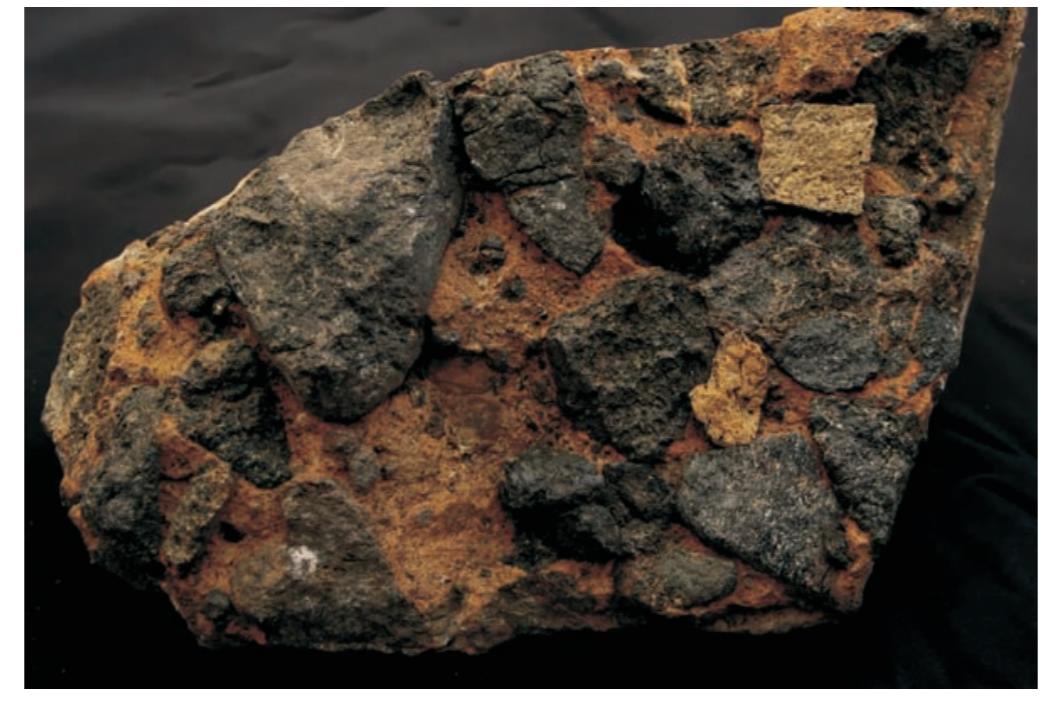 Палеозойская эрупртивная брекчия  - остров Еловый коллеция В.Р. Ветрина ,фото Д. В. Жирова.