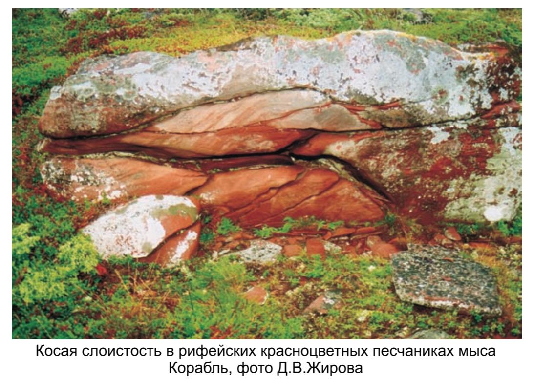 Косая слоистость в рифейских красноцветных  песчаниках мыса Корабль, фото Д. В. Жирова.