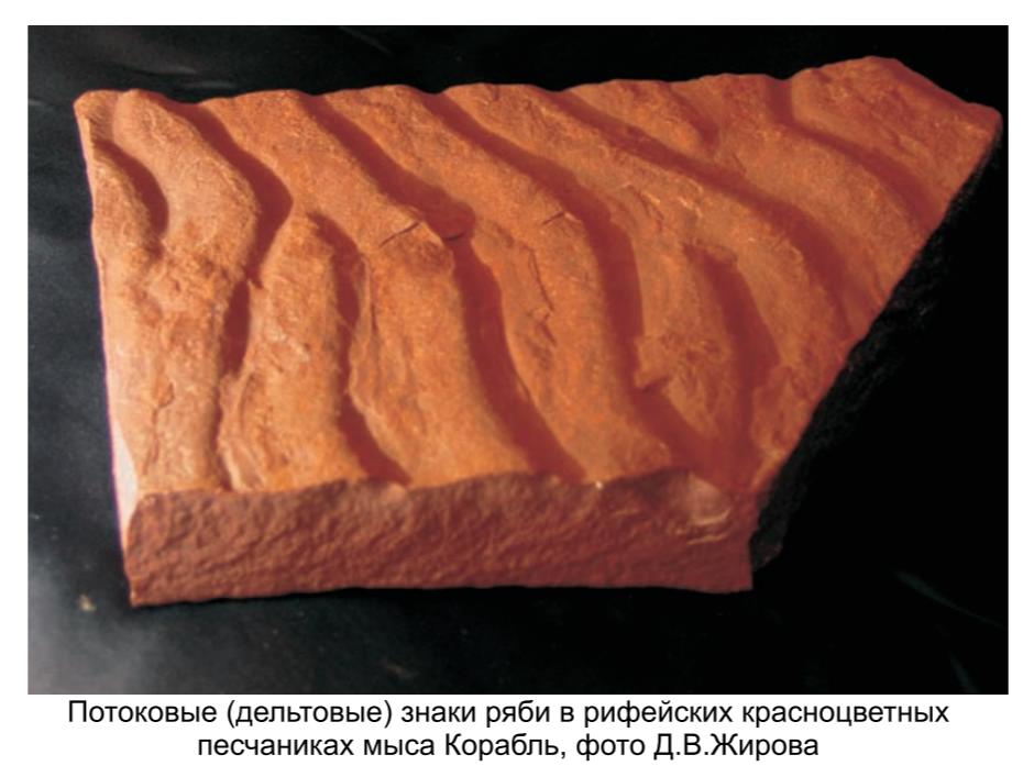 Потоковые (дельтовые) знаки ряби в рифеских красноцветных песчаниках мыса Корабль , фото Д. В. Жирова.