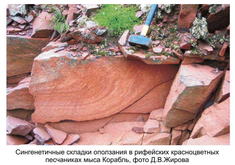 Сигнетичные складки оползания в рифейских красноцветных песчаниках мыса Корабль, фото Д. В. Жирова.
