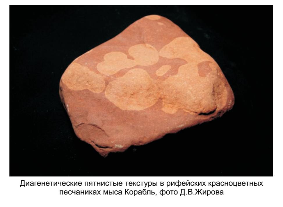 Диагенетические пятнистые текстуры  в рифеских красноцветных песчаниках  мыса Корабль, фото Д. В. Жирова.